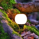 Mushroom Lampshade